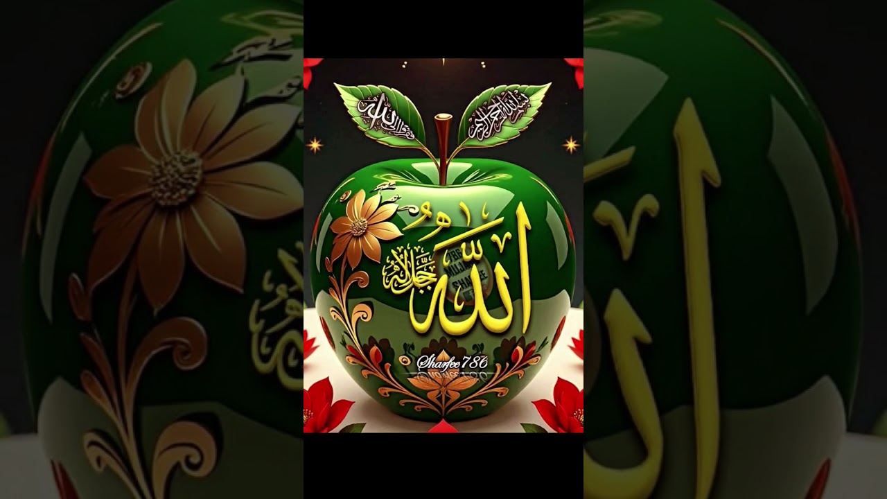 pahle Khalifa Hazrat Siddique haider.