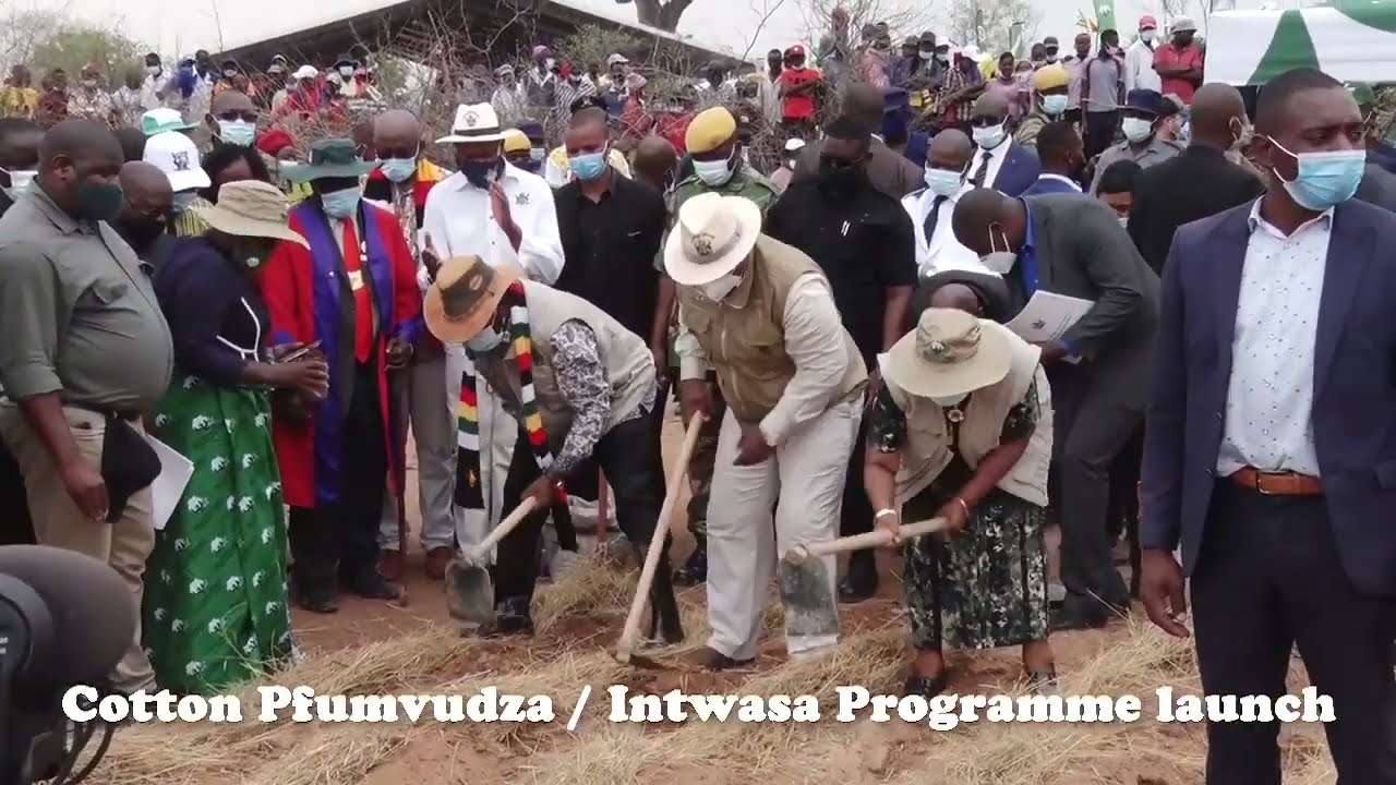 Cotton farming transforming Gokwe Community