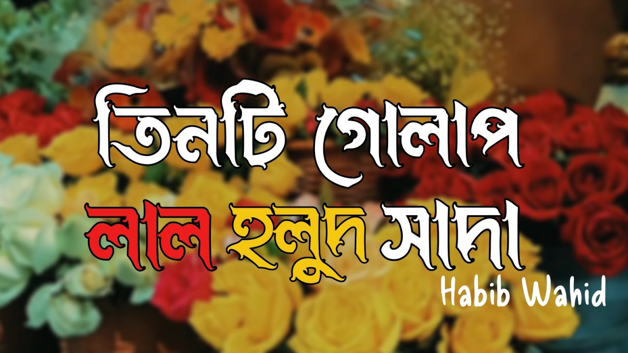 তিনটি গোলাপ লাল হলুদ সাদা | Tinti golap — lal holud sada | Habib Wahid | Ekjone | Sojol Ahmed