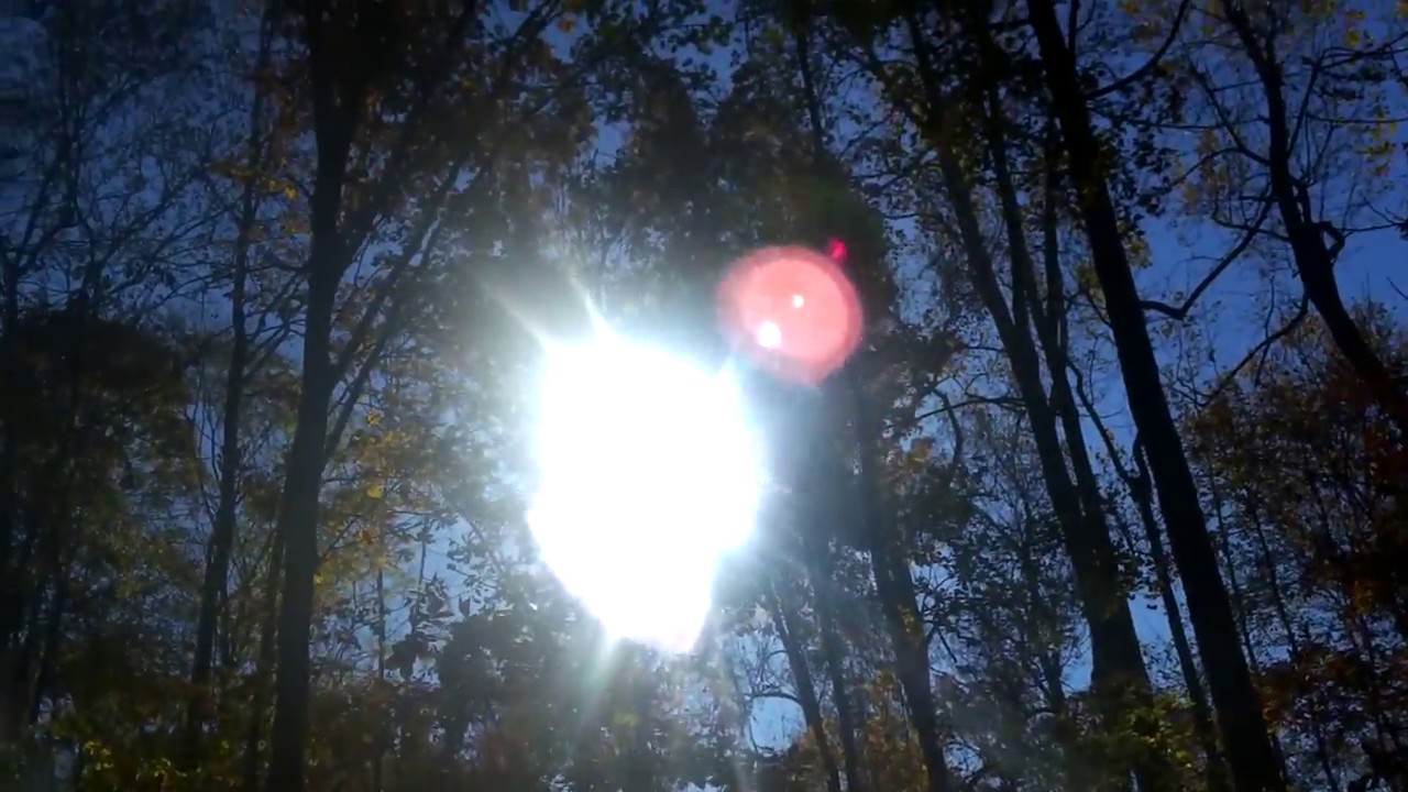 Let Nature Amaze You