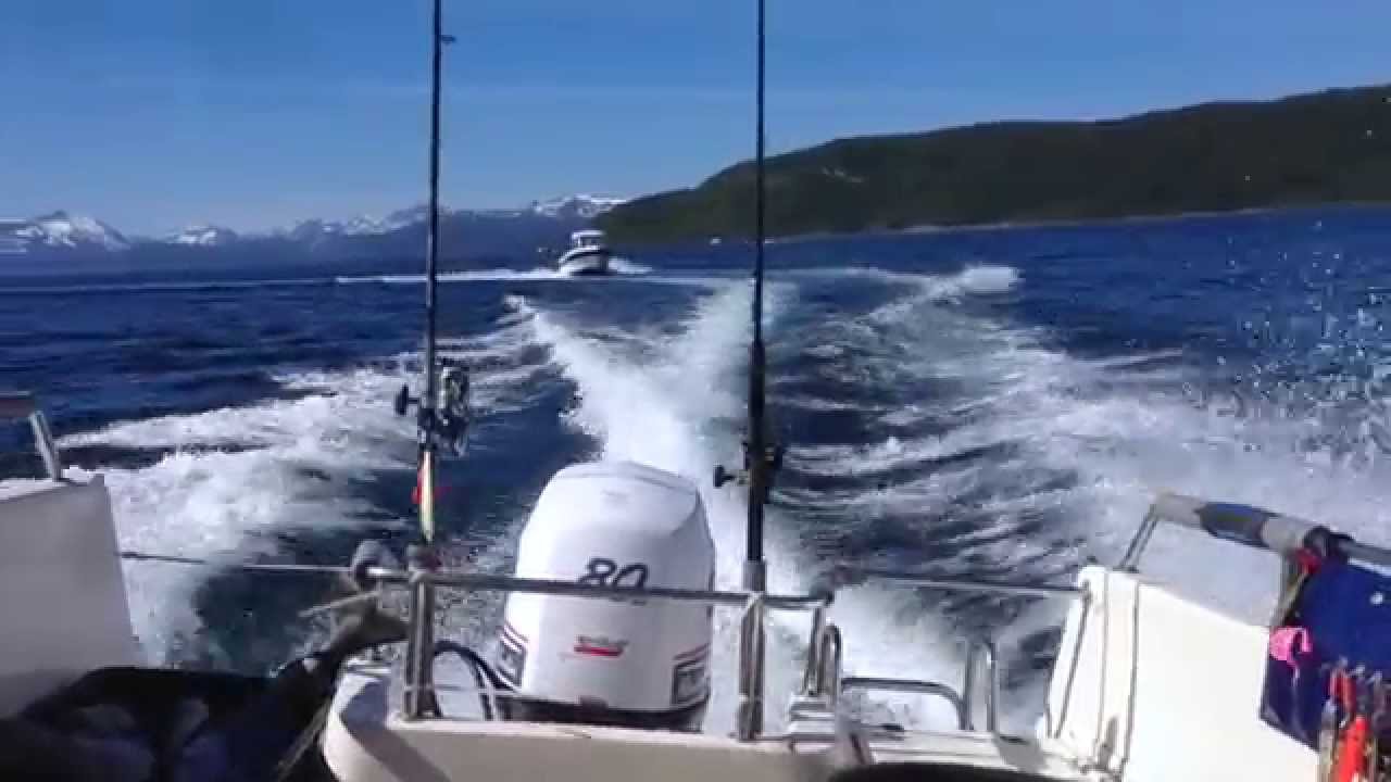 Big Game - Halibut Fishing Norway 2014
