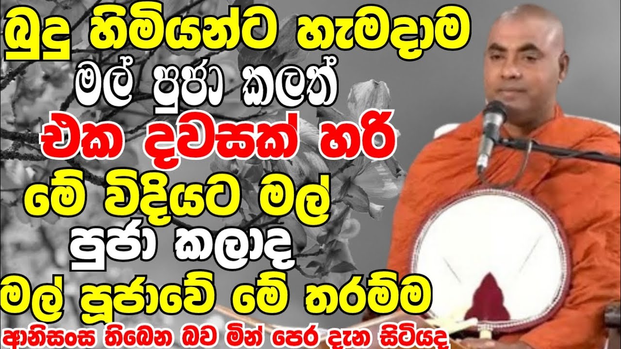 බුදුහිමියන්ට හැමදාම මල්පූජා කලත් එක දවසක් හරි මේවිදියට මල් පූජා කලාද|Koralayagama Saranathissa Thero
