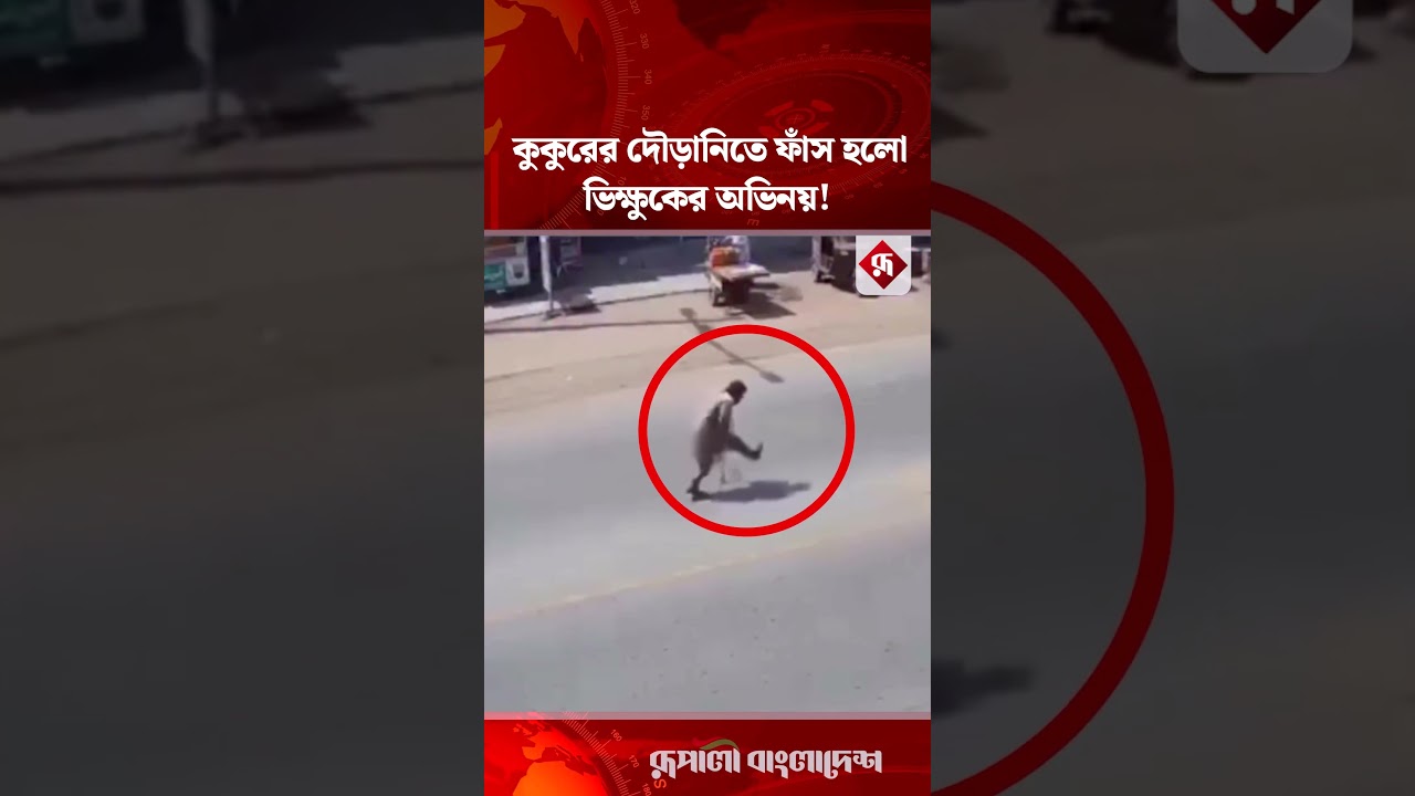 কুকুরের দৌ'ড়ানিতে ফাঁ'স হলো ভিক্ষুকের অভিনয়! #dog #beggar #acting #entertaiment #rupalibangladesh