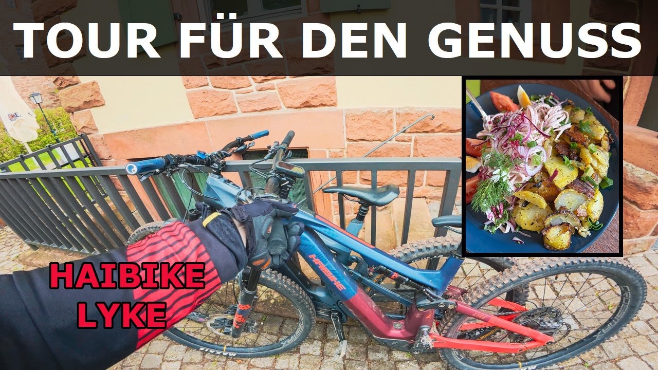 Kulinarischer Biketrip im zentralen Pfälzerwald