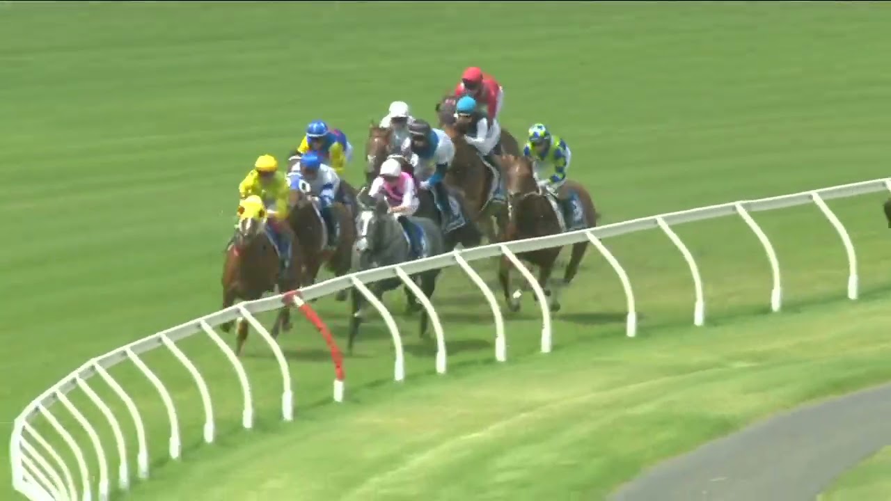Durbridge Stakes 2026 - SGHIRRIPA (3YO+ WFA LR) Listed Morphettville 31 January 