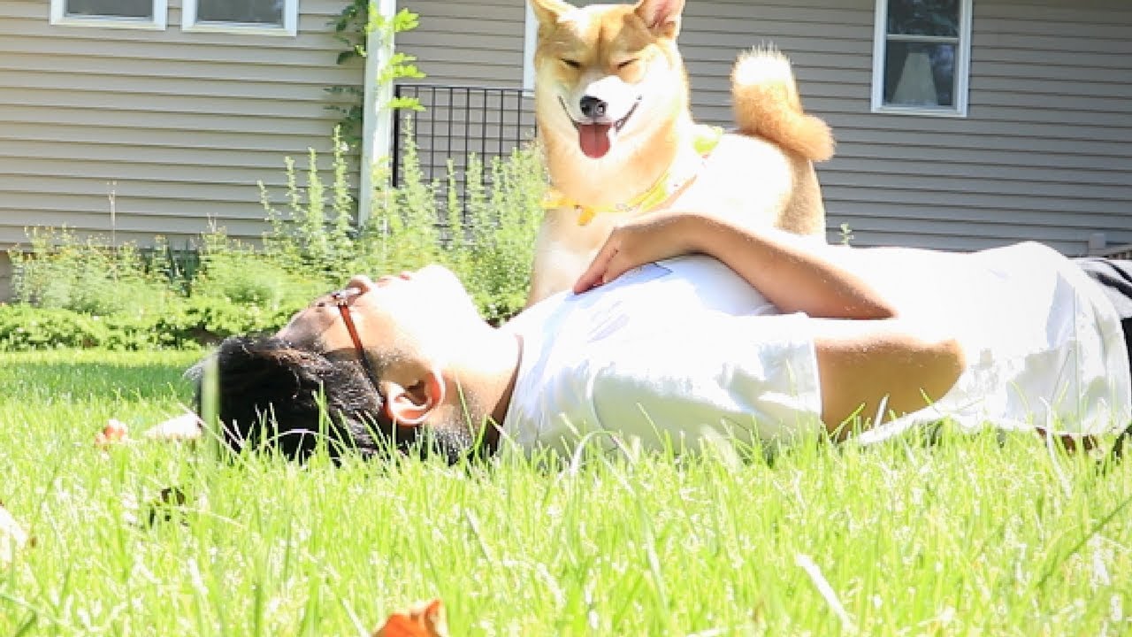 MY DOG REACTS TO ME FAINTING!