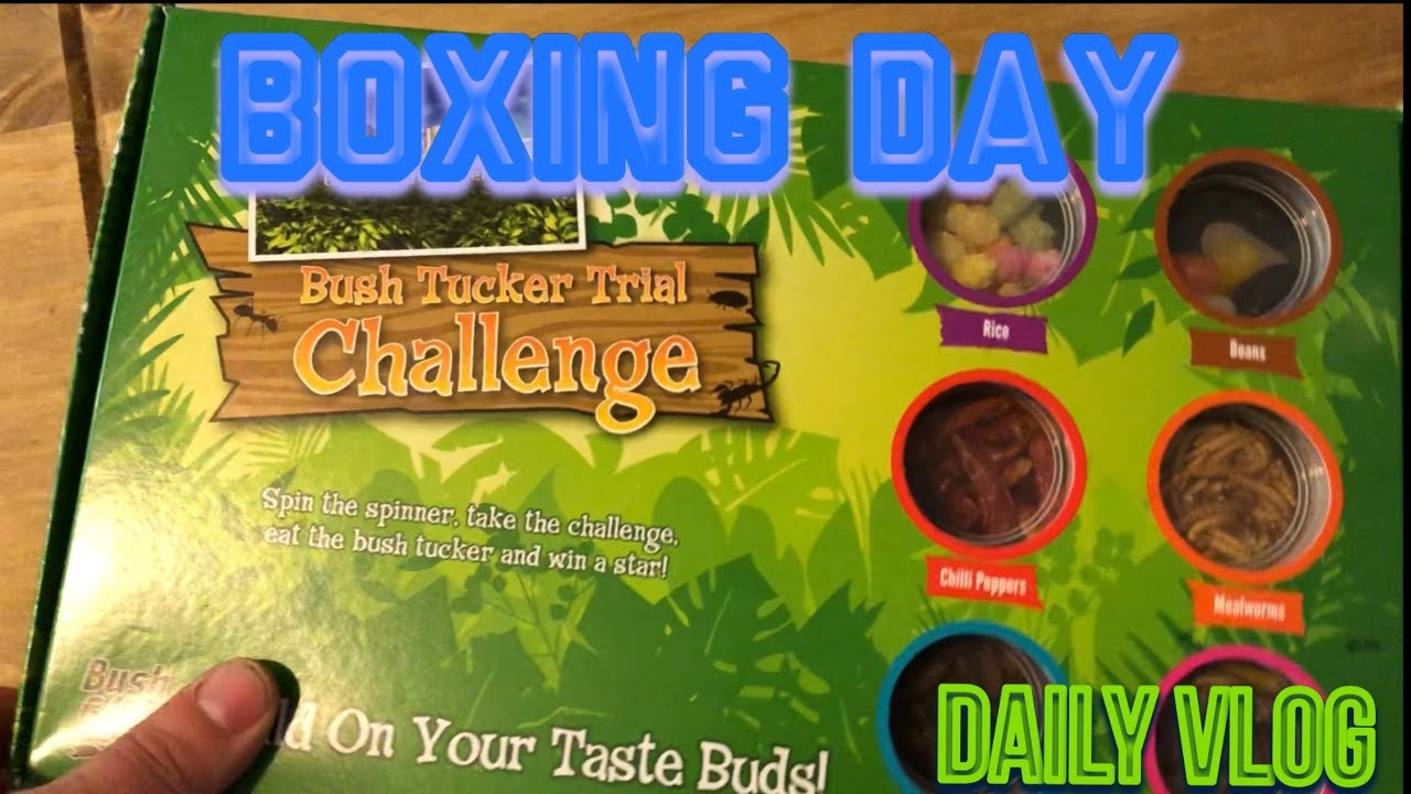 Boxing Day 2017 | Daily Vlog | Steve’s Vlogs