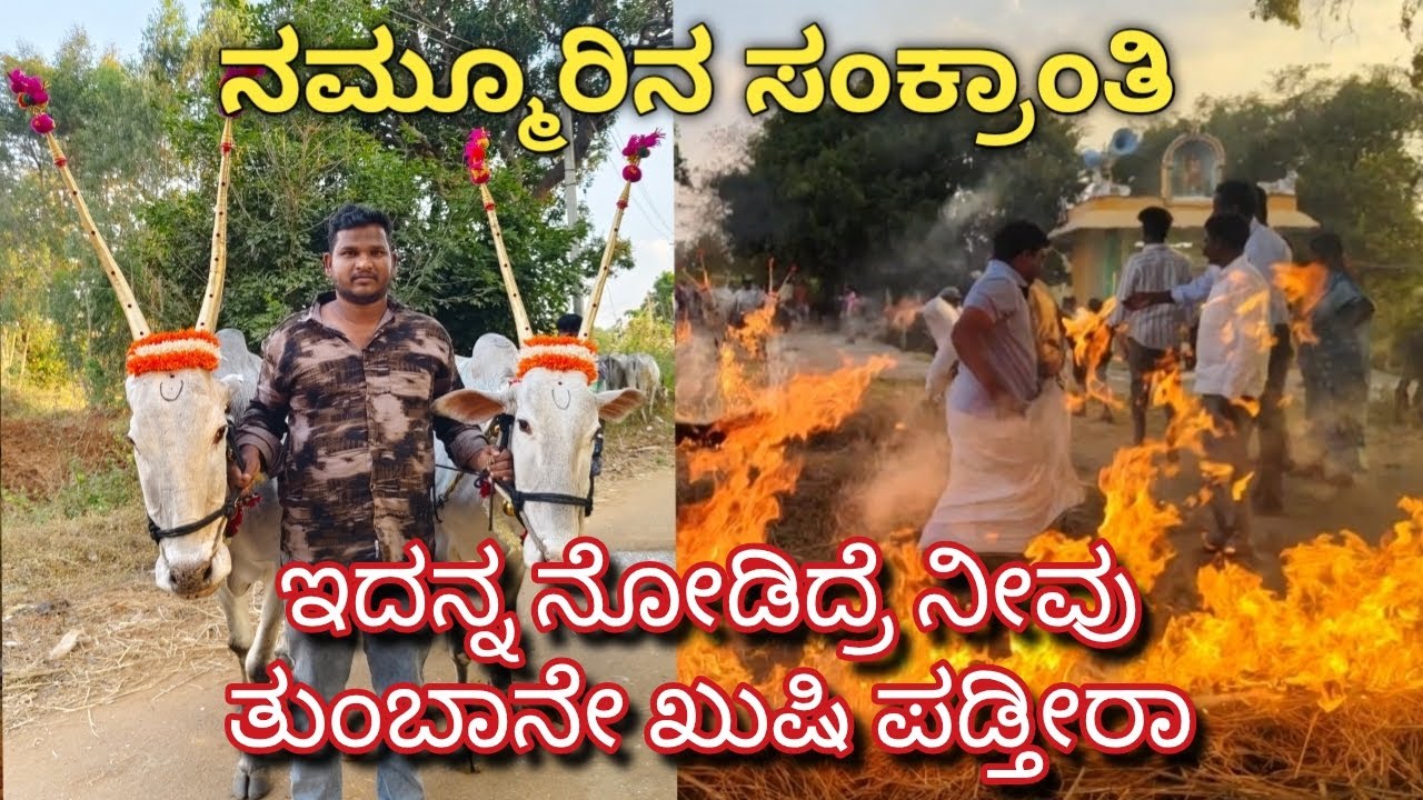 ನಮ್ಮೂರ ಸಂಕ್ರಾಂತಿ. ಇದನ್ನ ನೋಡಿದ್ರೆ ತುಂಬಾನೇ ಖುಷಿ ಪಡ್ತೀರಾ