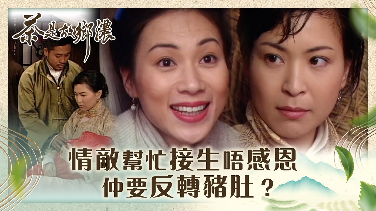茶是故鄉濃｜情敵幫忙接生唔感恩 仲要反轉豬肚？(繁／簡字幕)｜第二十六集精華｜林家棟｜張可頤｜蘇玉華｜TVB港劇精華
