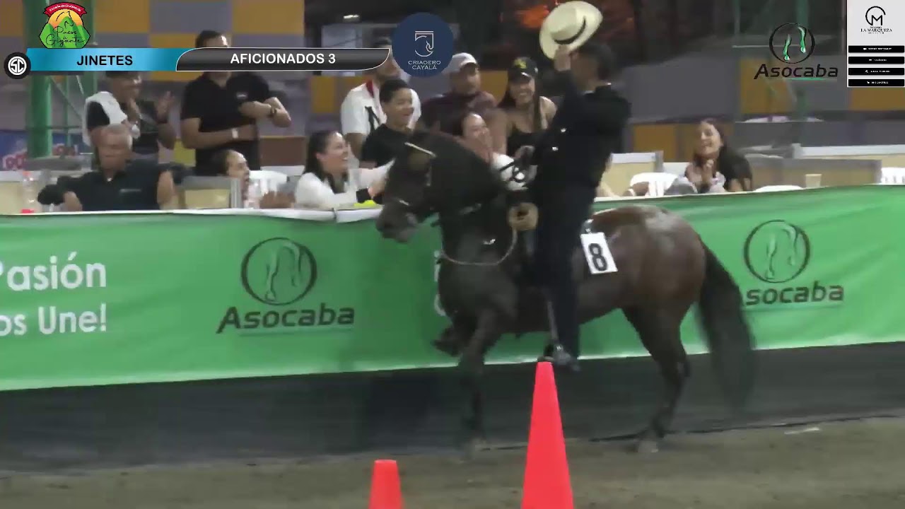 9na VALIDA PUNTUABLE DE EQUITACION EN CABALLO DE PASO - DIA 3 - ASOCABA 2024