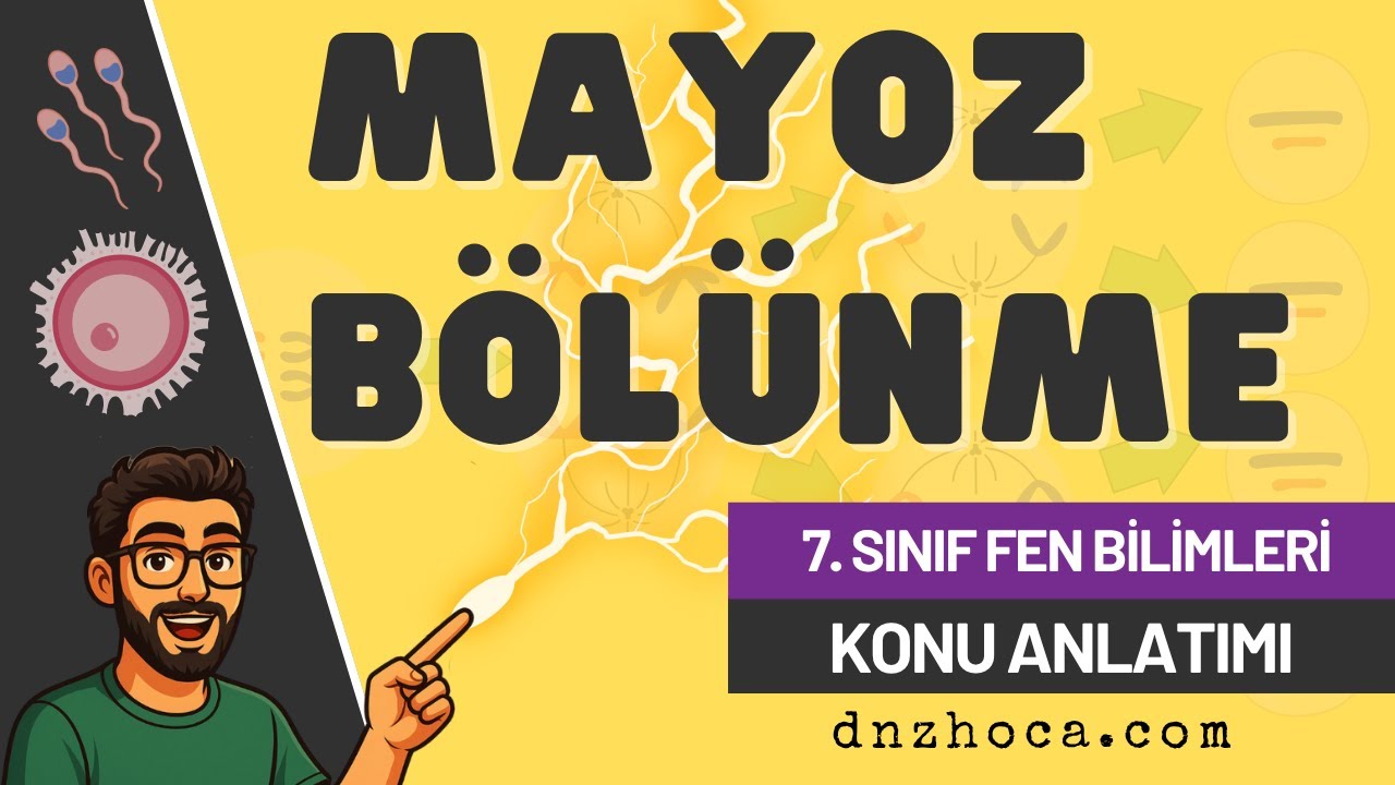 7. Sınıf Fen: Mayoz Bölünme (Mitoz Farkları Dahil) | Full Konu Anlatımı