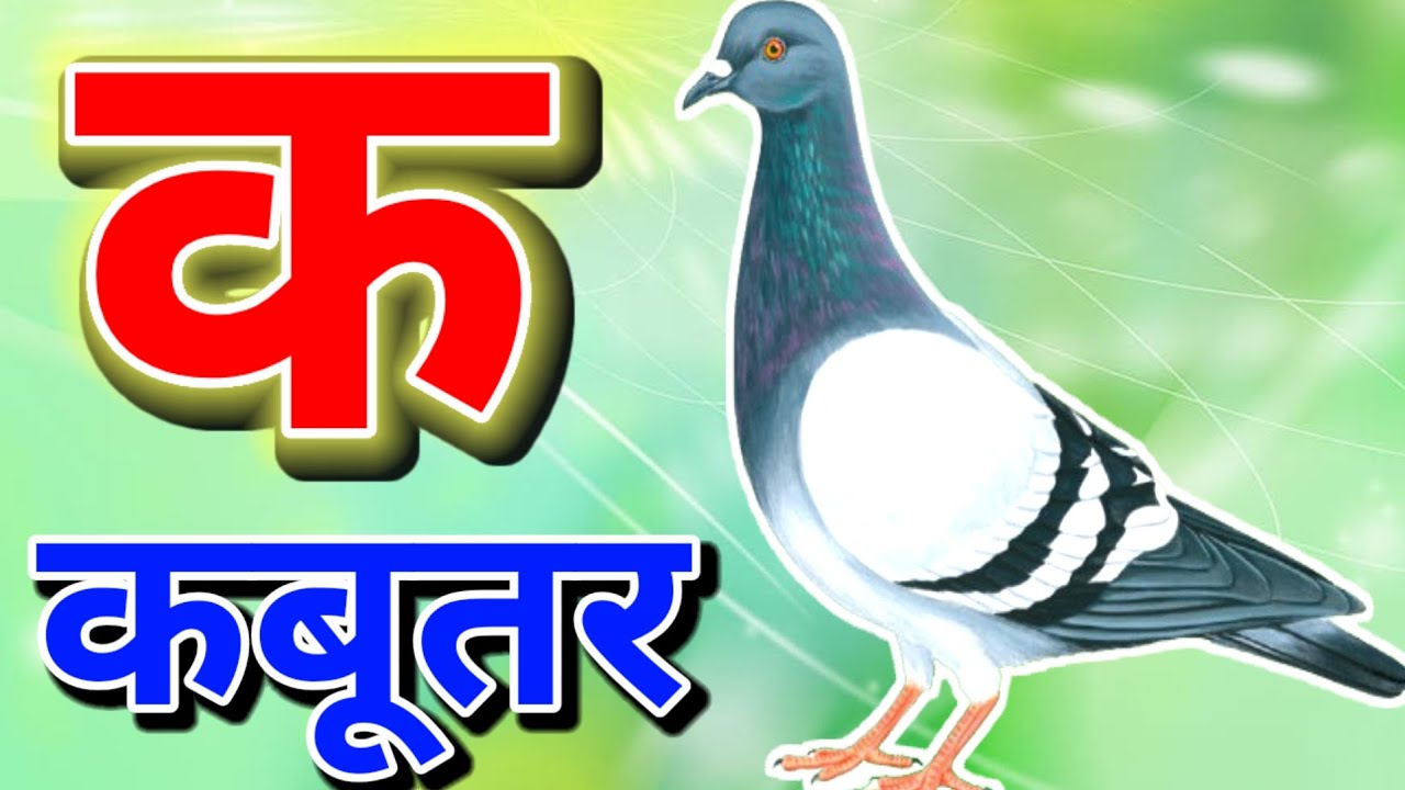 हिंदी वर्णमाला K से Kabutar | बच्चों के लिए मजेदार वीडियो। ABCD। A for apple। #kidssong #kids