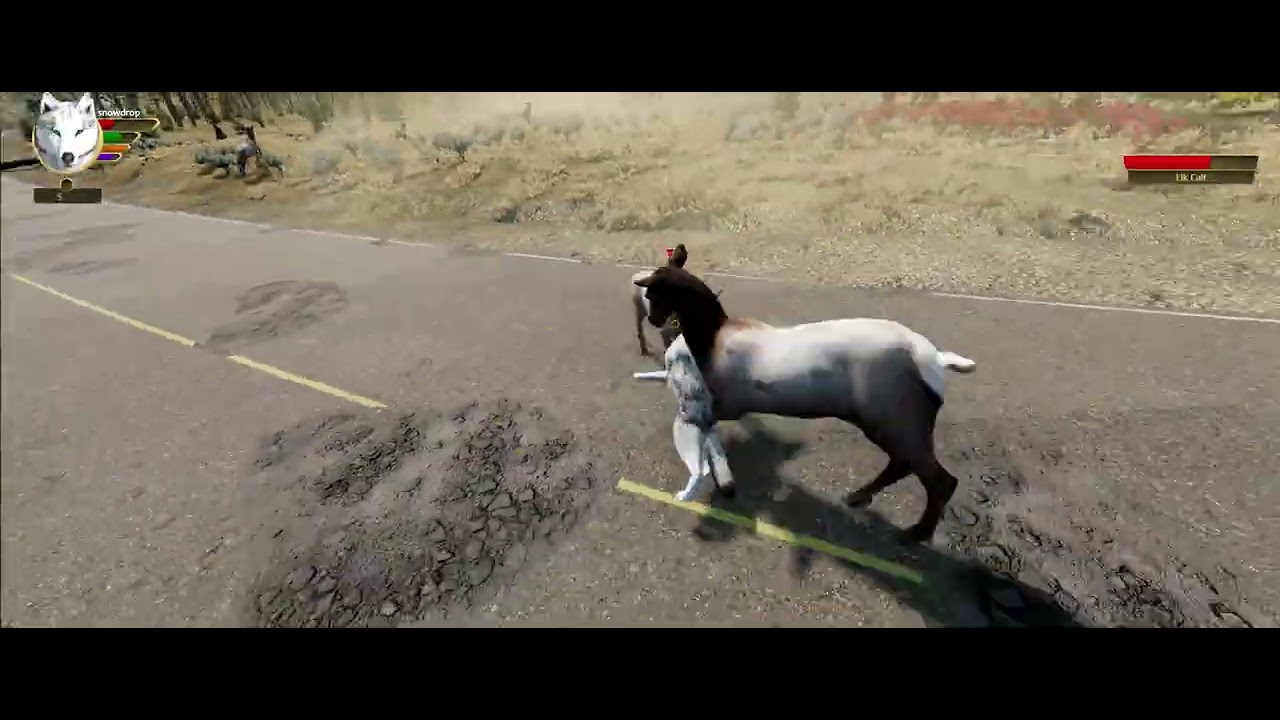 CAN I SURVIVE AS A WOLF IN WOLFQUEST? part 1