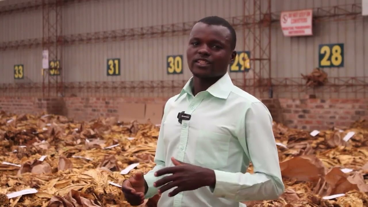 Tobacco Farming - A Means to Achieve More