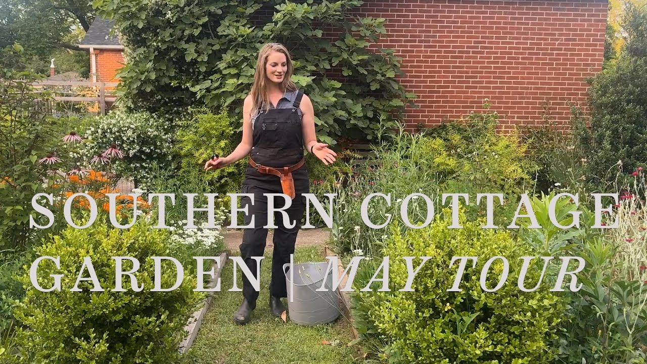 Майский тур по саду Southern Cottage