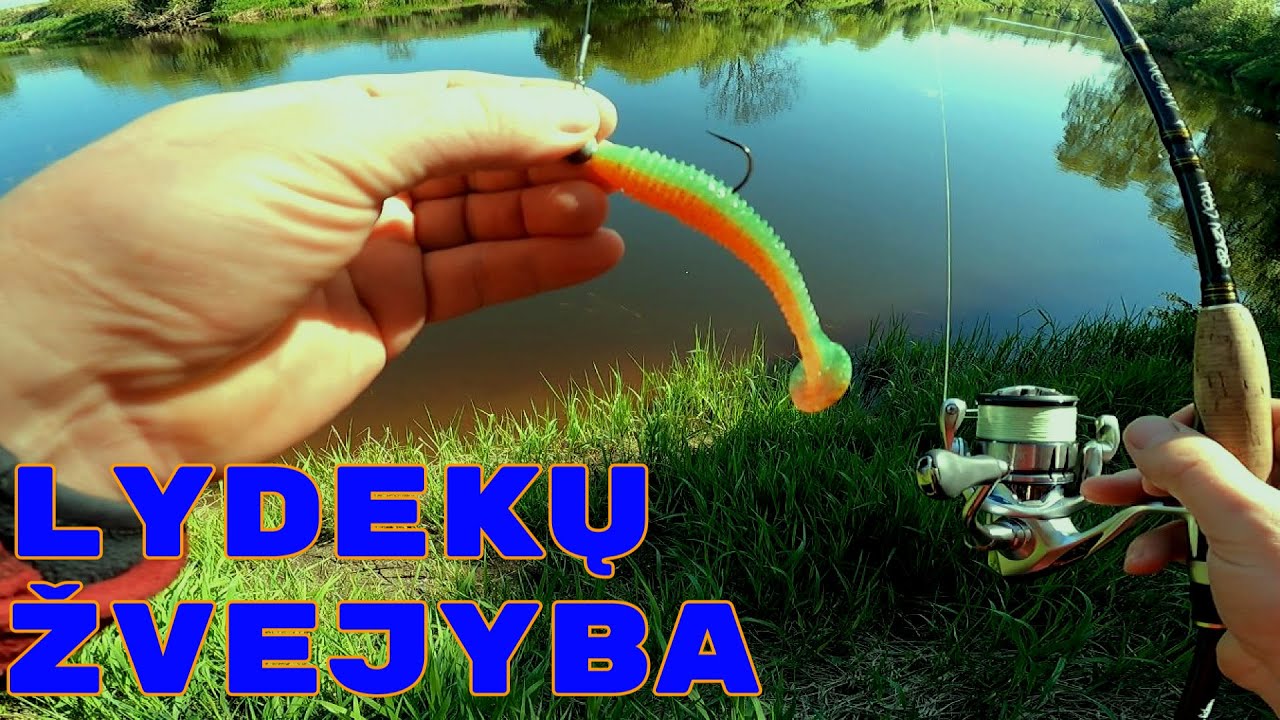 Gaudau lydekas spiningu nuo kranto.  Lydekų žvejyba upėje.Sezonas 2023.