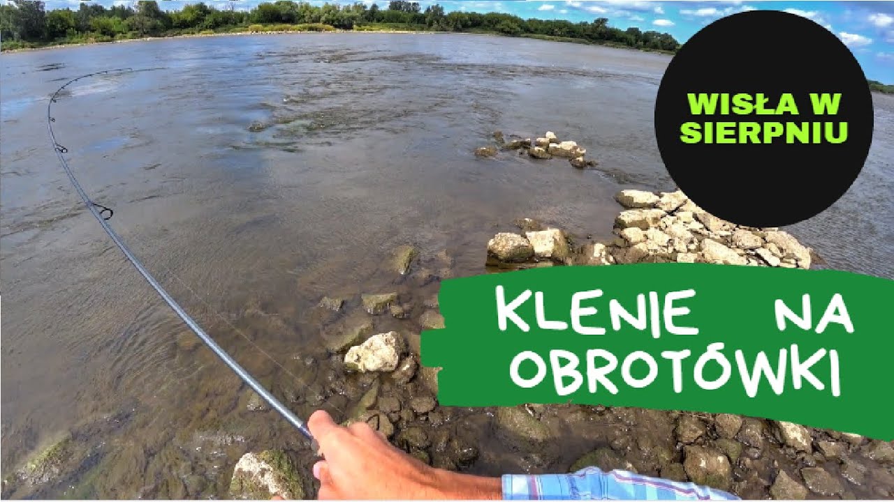 WISŁA / KLENIE / SPINNING /ŁOWIENIE KLENIE na OBROTÓWKI w WIŚLE / #video #spinning #wisła #klenie