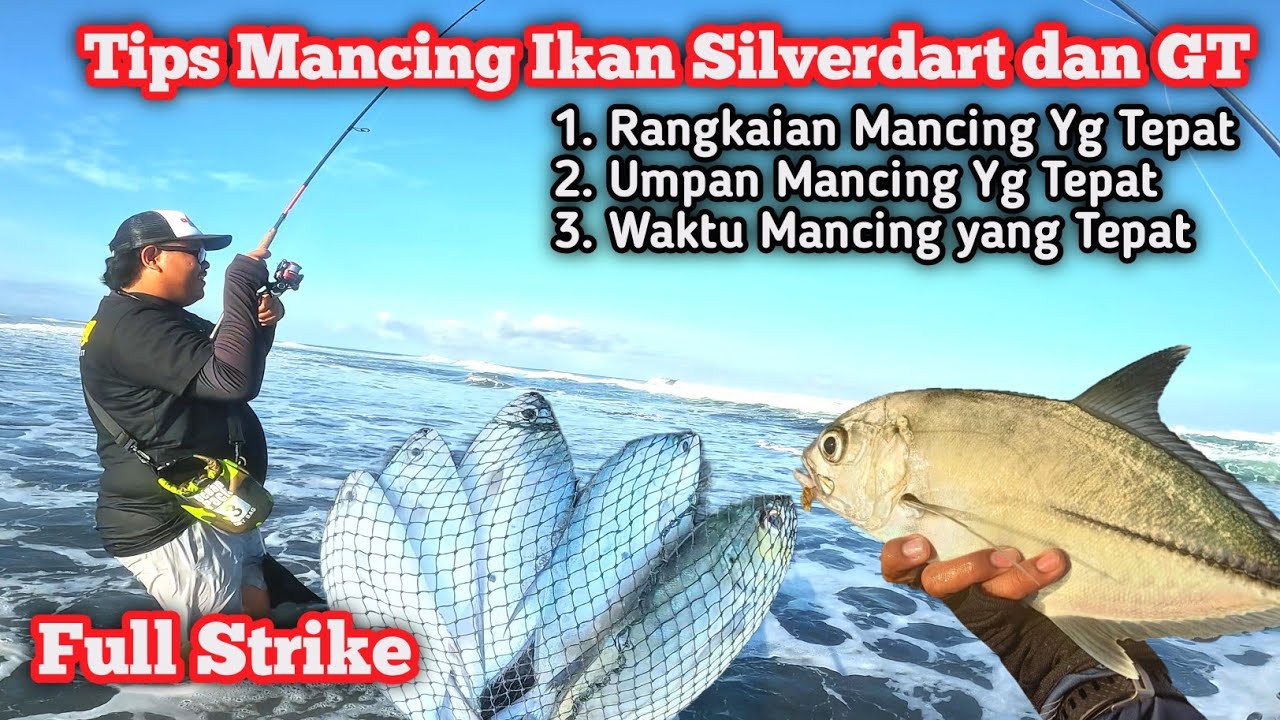 ‼️BERBAGI TIPS‼️CARA MANCING IKAN SILVERDART UMPAN SOFTLURE DAN RANGKAIAN CAROLINA RIG