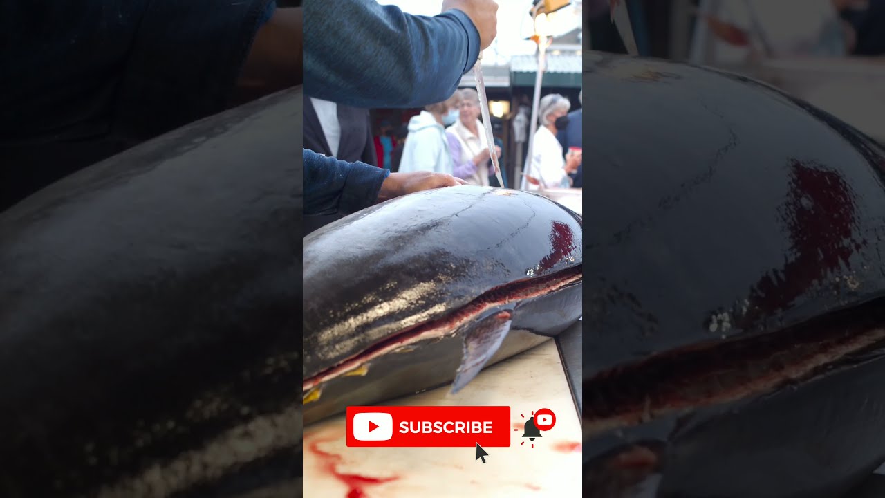😱😱500 KG tuna fish cutting | Smart cutting | Fastest cutting fish #shorts #youtubeshorts #viralvideo