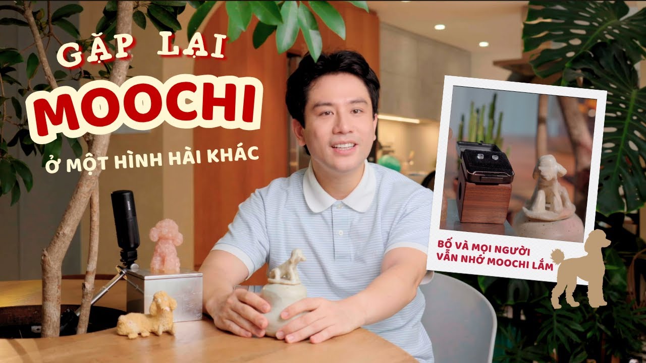 2 năm sau khi Moochi rời xa m&igrave;nh v&agrave; h&agrave;nh tr&igrave;nh lưu giữ h&igrave;nh h&agrave;i của Moochi // Dinology