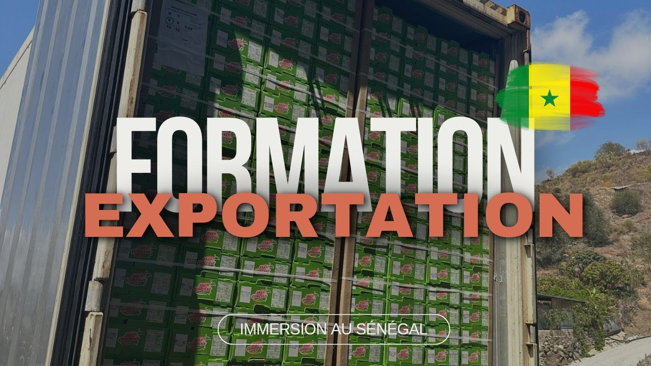 Formation import export au Sénégal