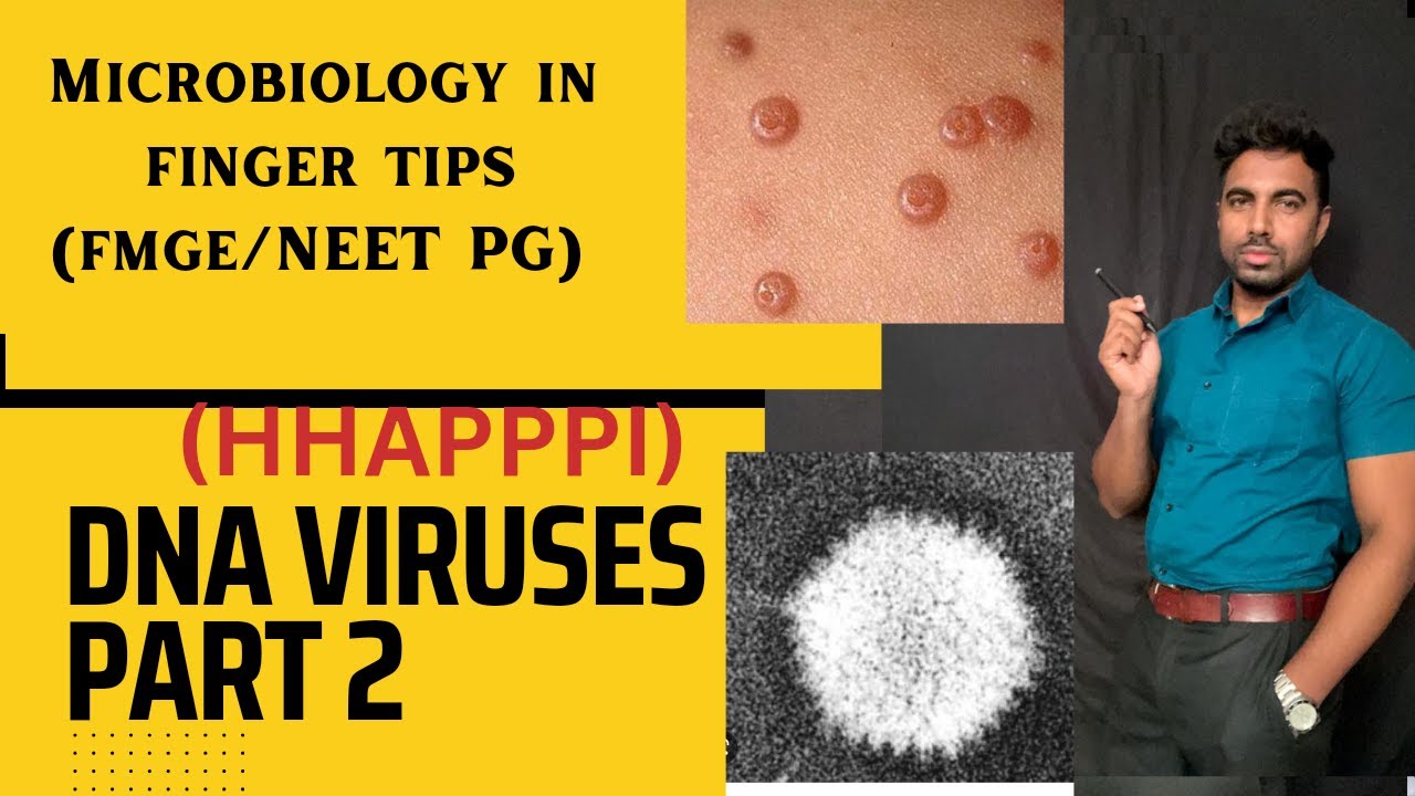 DNA virus 2 | fmge microbiology | microbiology rapid revision | rapid revision fmge |micro neetpg