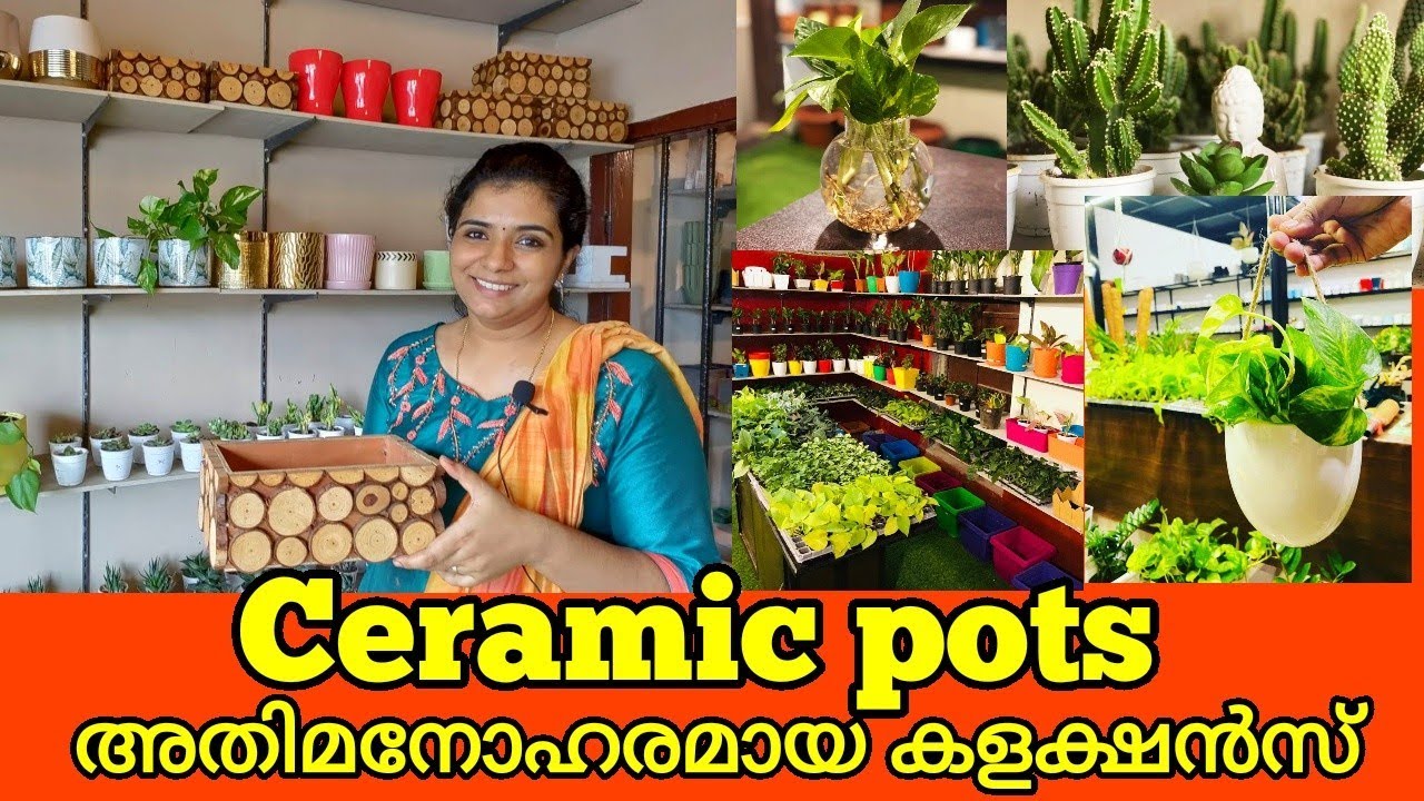 അതിമനോഹരമായ pot കളക്ഷൻസ്|Amazing Collection of Ceramic pots and Planters|Best place for Ceramic pots