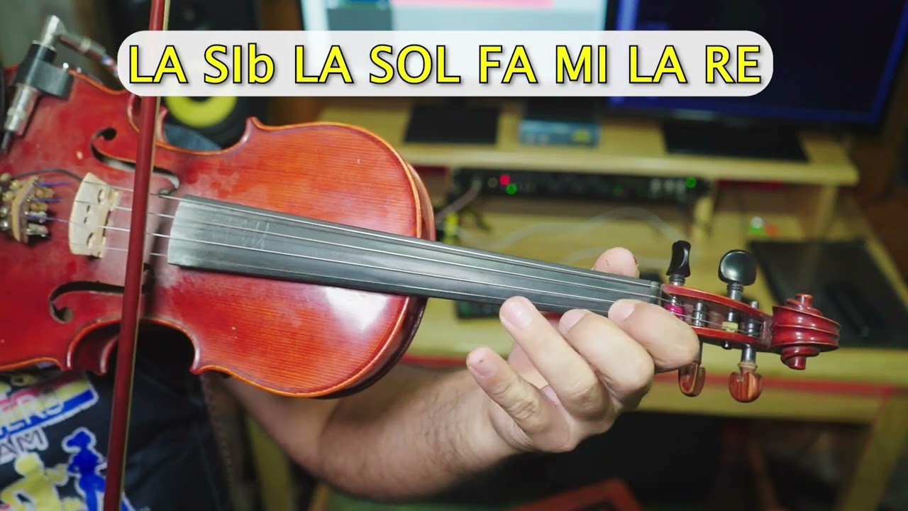 CARRETERA AL CANAJAGUA VIOLÍN - INSTRUCTIVO
