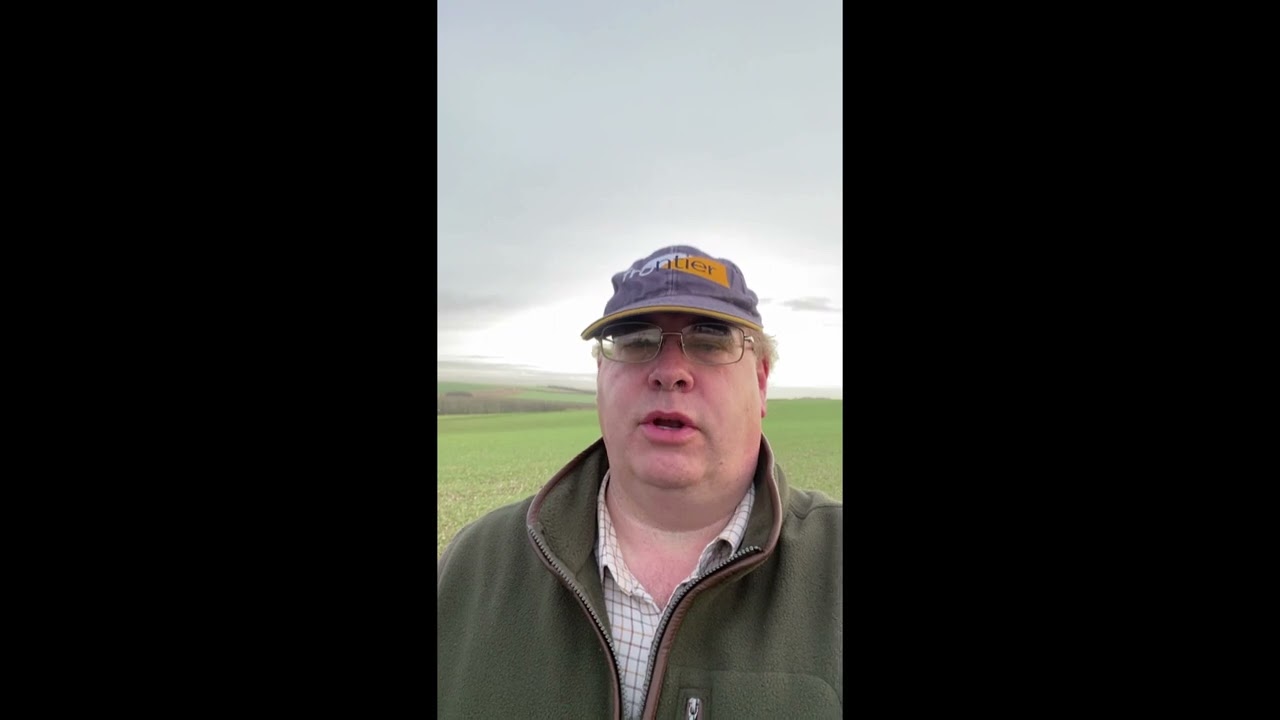Yields in review 2022 - Tim Lamyman, Yield Enhancement Network (YEN) Gold winner