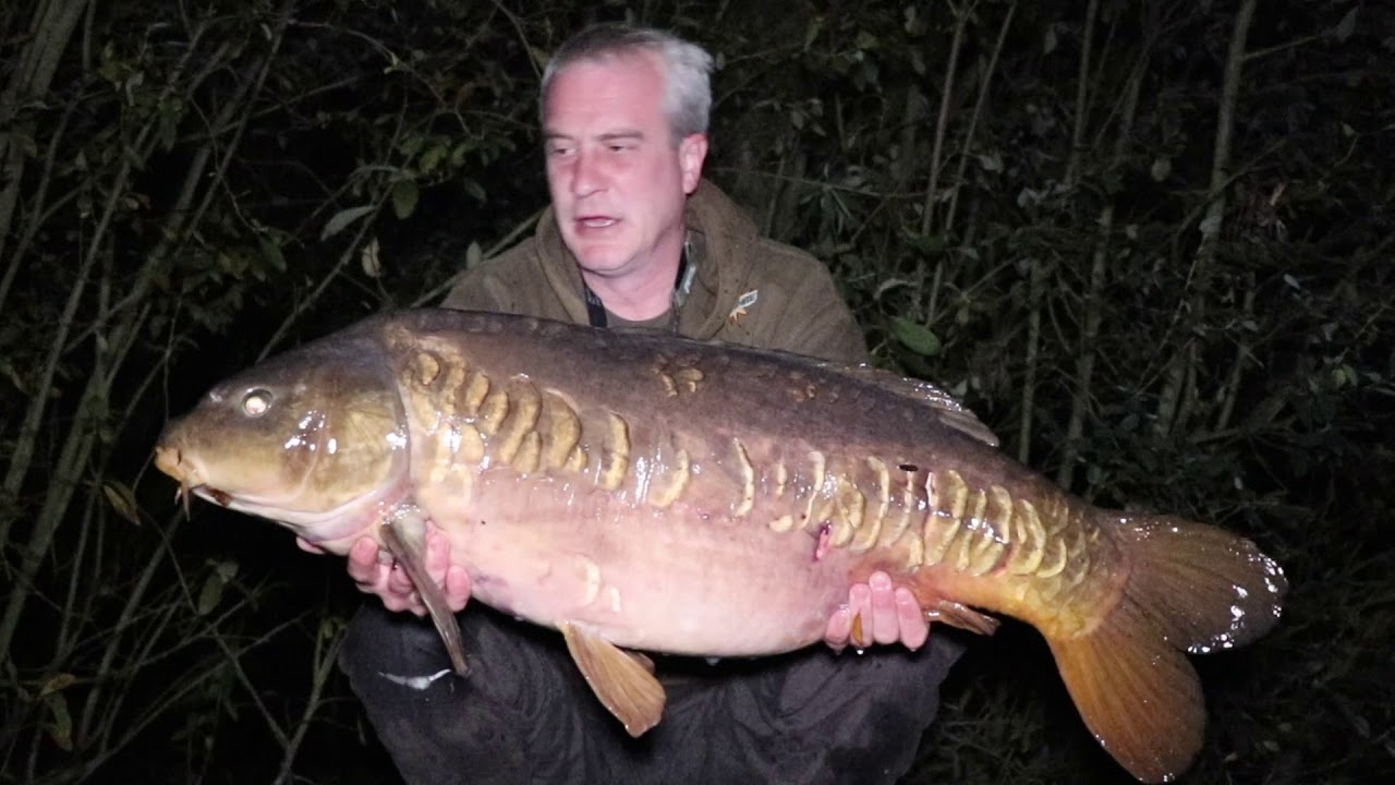 CARP FISHING - The "D" Lake Diary. "The Campaign" @ The Nunnery Lakes.