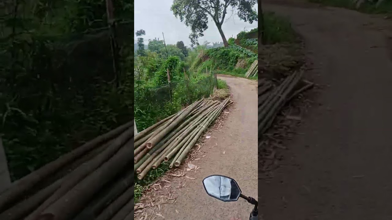 Jalan pasir awi ciwidey
