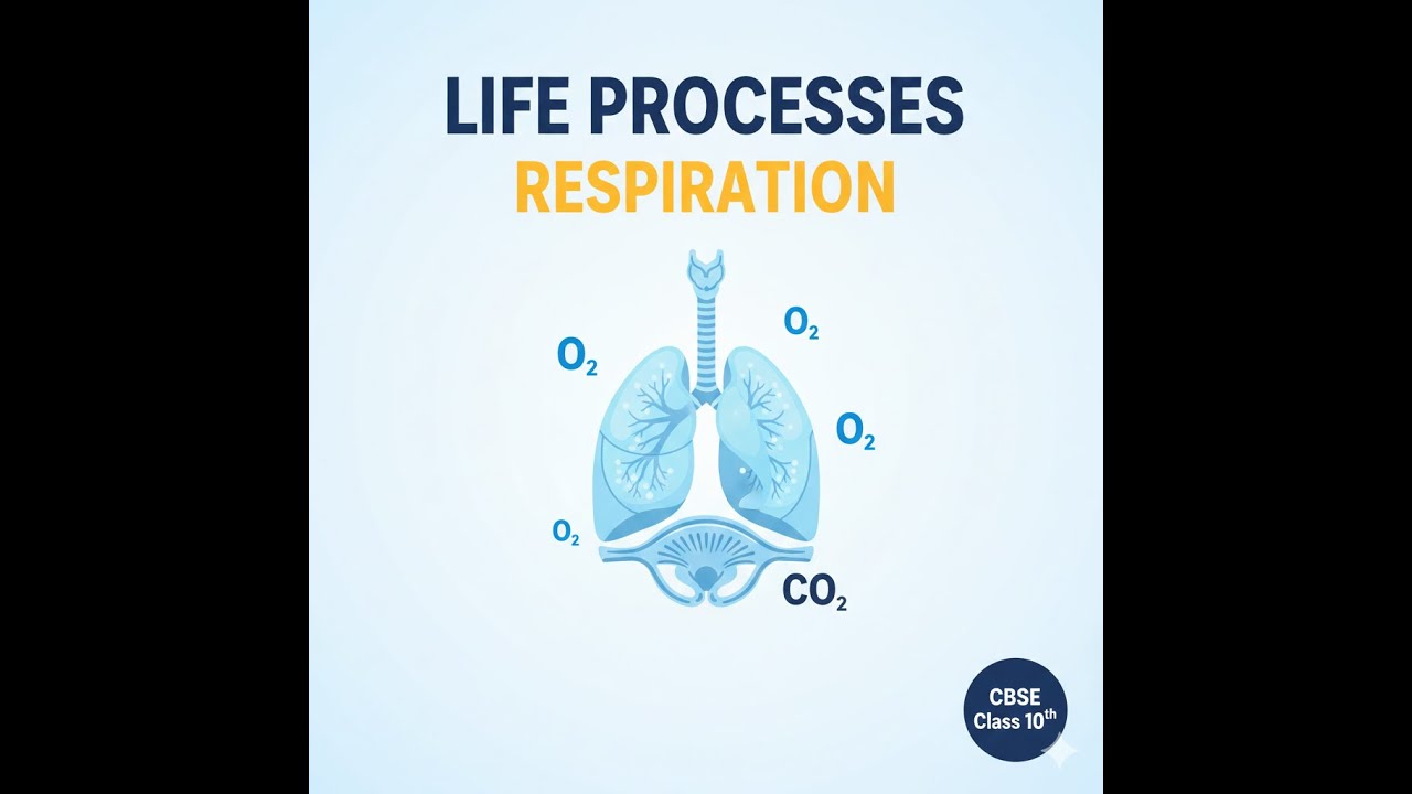 Life Processes &ndash; Respiration in Humans and Plants | Class 10 Biology | Board Exam