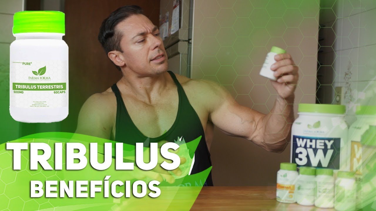 TRIBULUS TERRESTRIS FUNCIONA? | FARMA FORMA