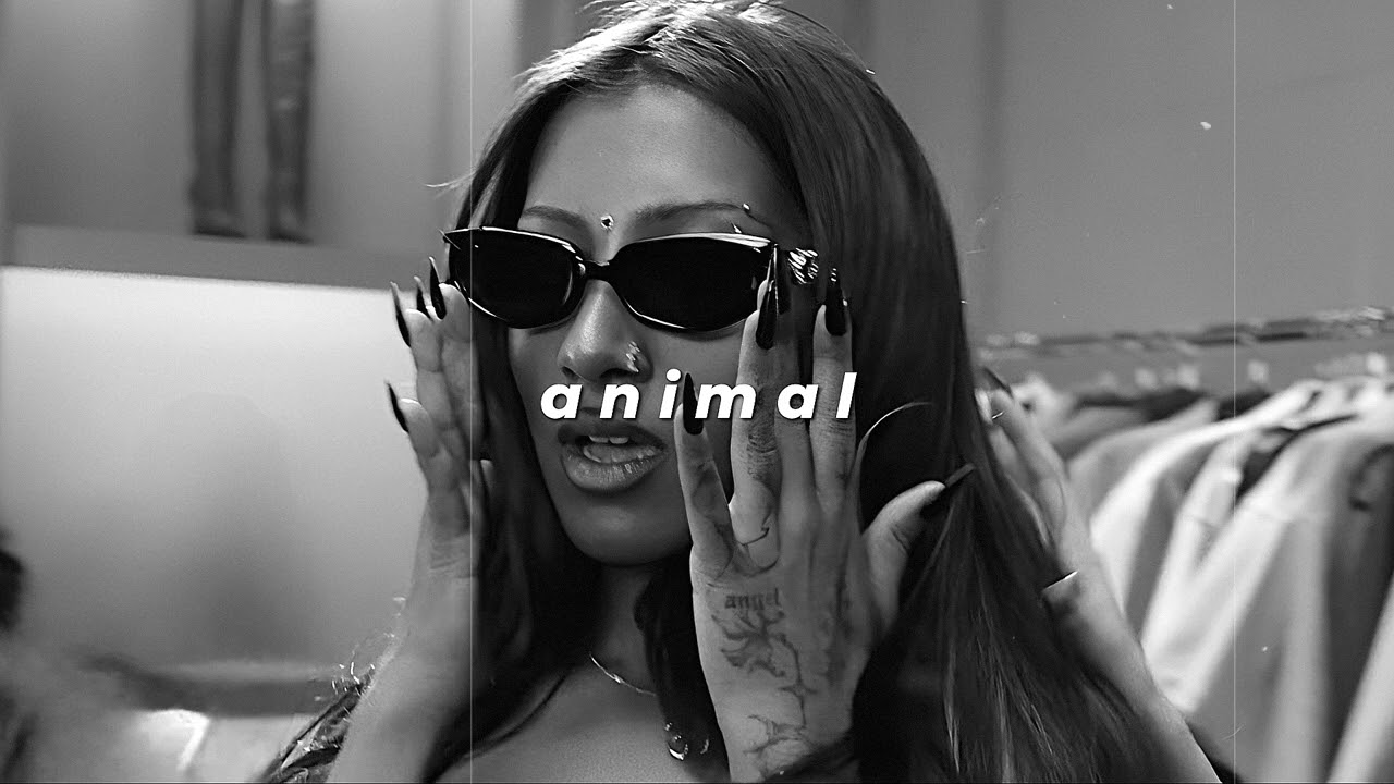 katseye - animal (slowed + reverb)