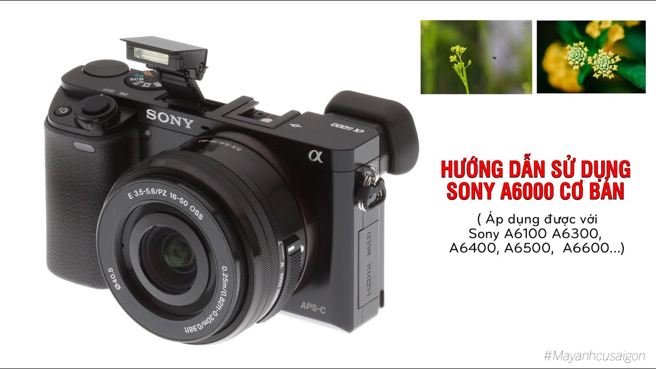 Hướng dẫn sử dụng máy ảnh Sony A6000 cơ bản chi tiết nhất cho người mới