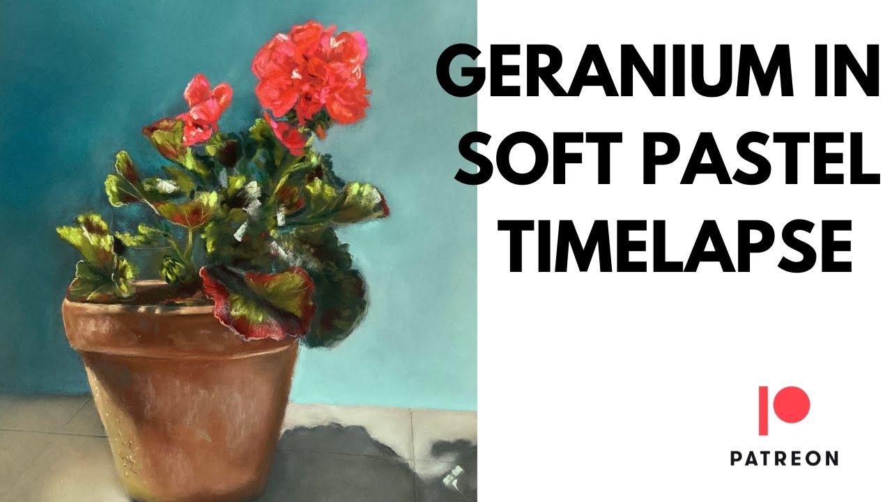 ⚪️ FLORAL STILL LIFE IN SOFT PASTEL#art #flower #softpastel #floral #tutorial #patreon#stilllife