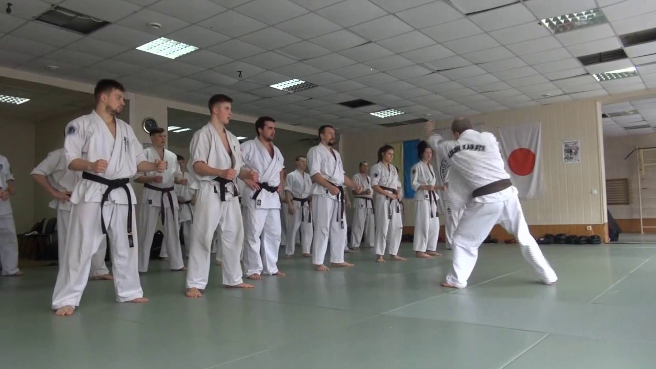 Attestation for Black belts in Arashi Karate 31.03.2018 Kiev Ukraine