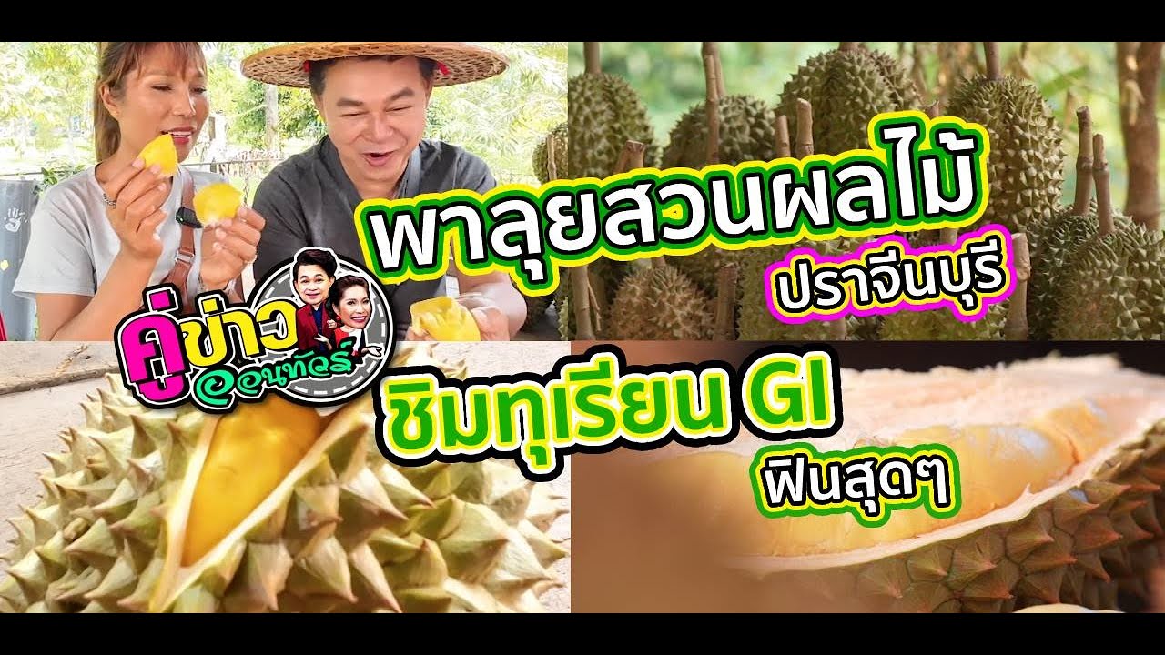 สองคู่ซี้พาลุยสวนผลไม้ปราจีนบุรี ชิมทุเรียน GI ฟินสุดๆ | คู่ข่าวออนทัวร์ กำภู-รัชนีย์ (27 เม.ย.66)