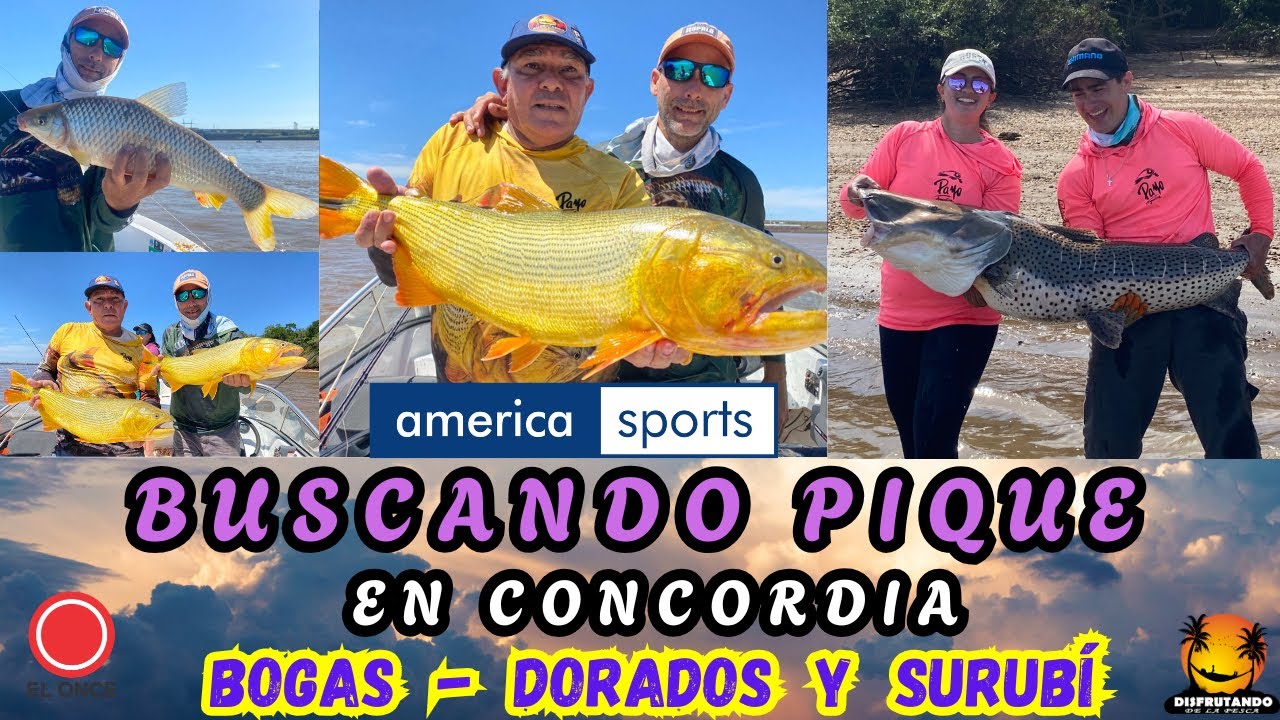 Disfrutando de la pesca en Concordia junto a Buscando Pique.