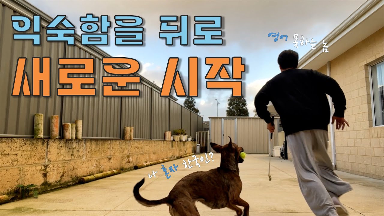 외국인들이랑 같이 살아보자, 영알못의 외국인 쉐어 도전 [호주 워홀 5]