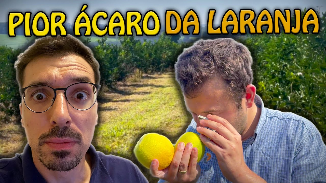 ACHEI LEPROSE NO MEU POMAR DE LARANJA!
