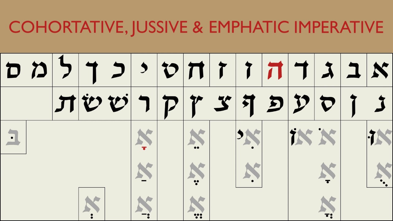 Cohortative, Jussive and Emphatic Imperative