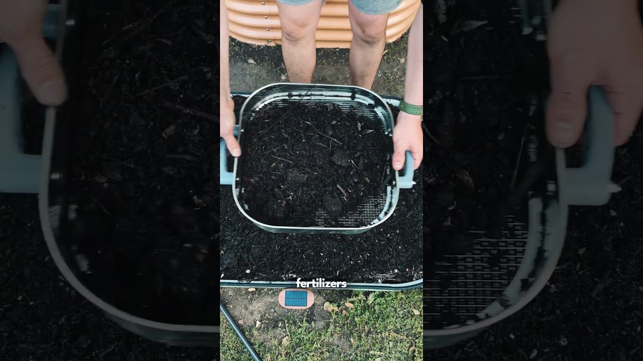 Organic Vs Chemical Fertilizers - What's The Difference? #organicgardening #gardeningforbeginners