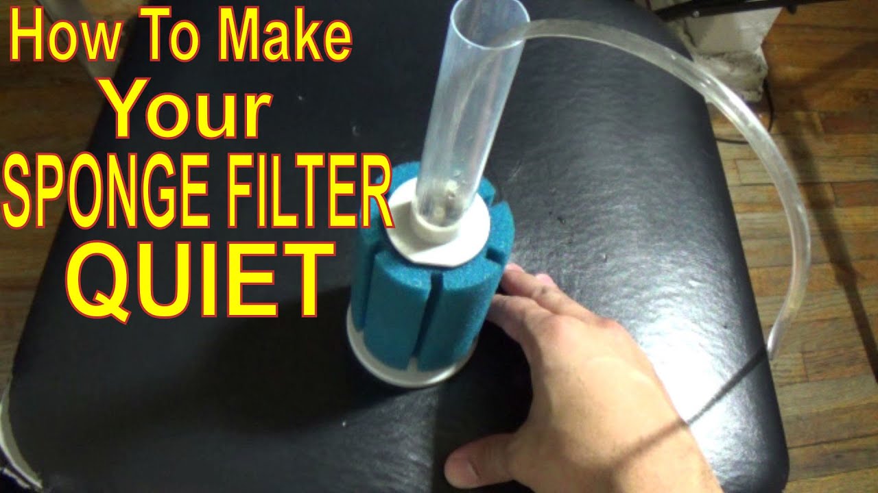How To Make Your Sponge Filter Quiet