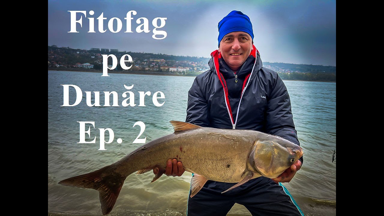 Crap Chinezesc la Dunare ep.2