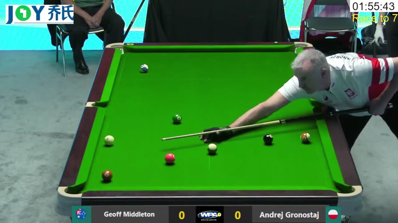 Geoff Middleton vs Andrej Gronstaj   2024 Joy Heyball Parasport Championships