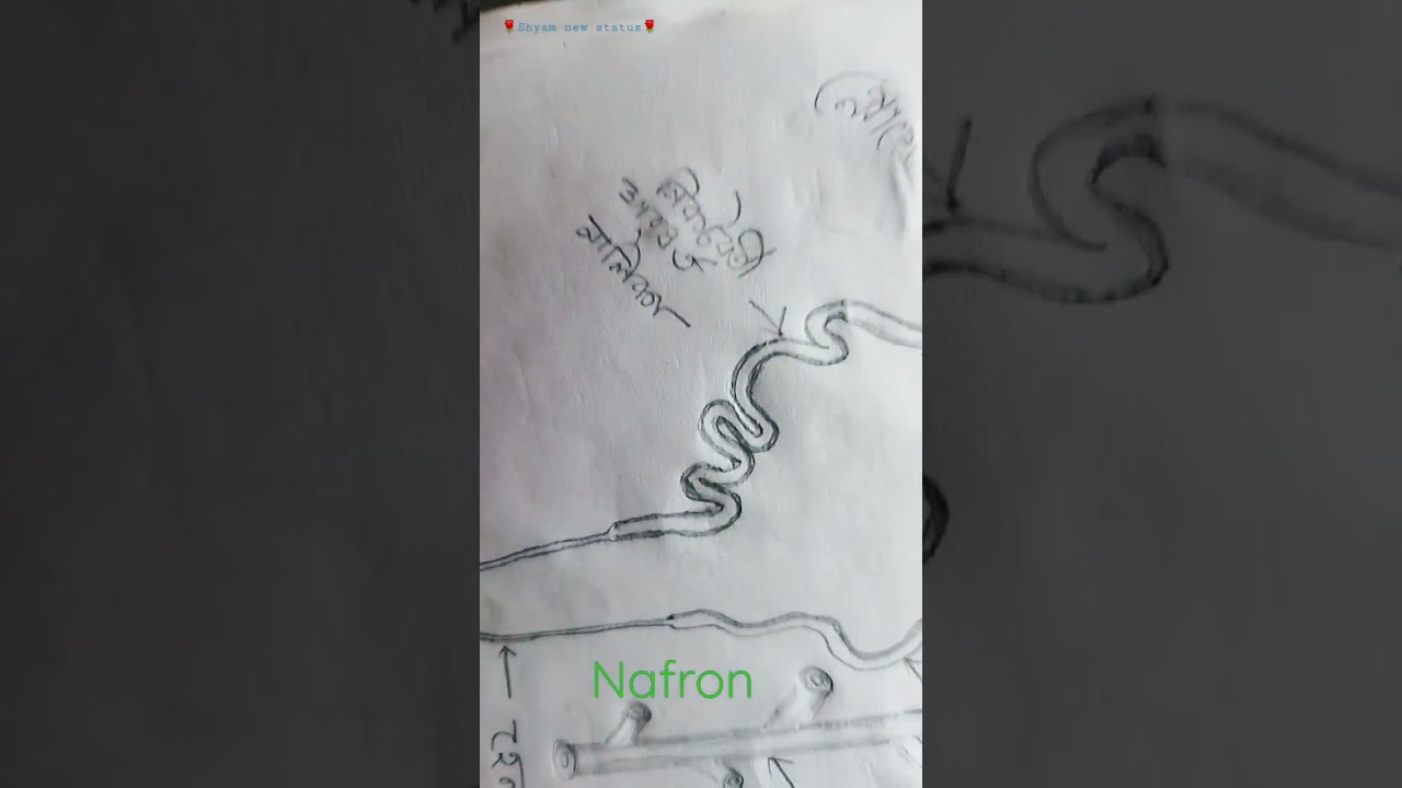👌Nafron art 🎨by myself 🤍🇮🇳#shorts *#status 😎🤩