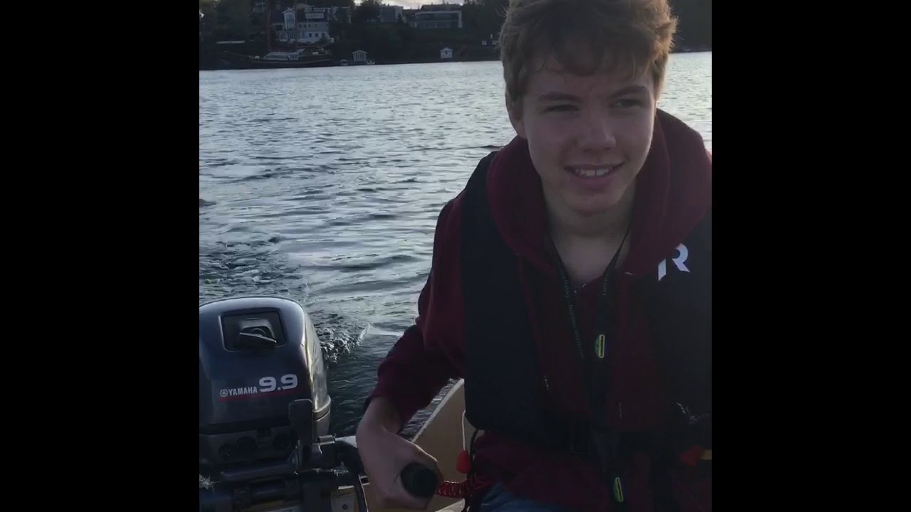 Dromedille KMV 300 Project Part 2 [SHORT!]