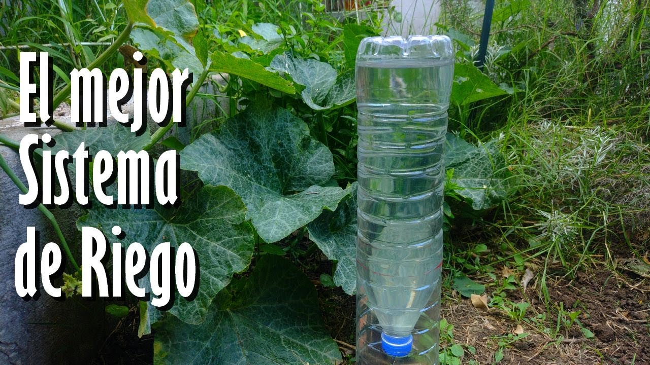 &iexcl;No Riegues M&aacute;s tus PLANTAS! Aplica este Eficiente SISTEMA de RIEGO