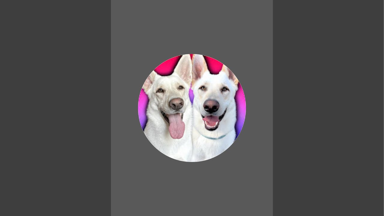 Apollo and Leyla is live!